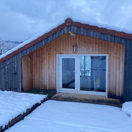 Le Chalet Dans La Nature Saulcy-sur-Meurthe Εξωτερικό φωτογραφία