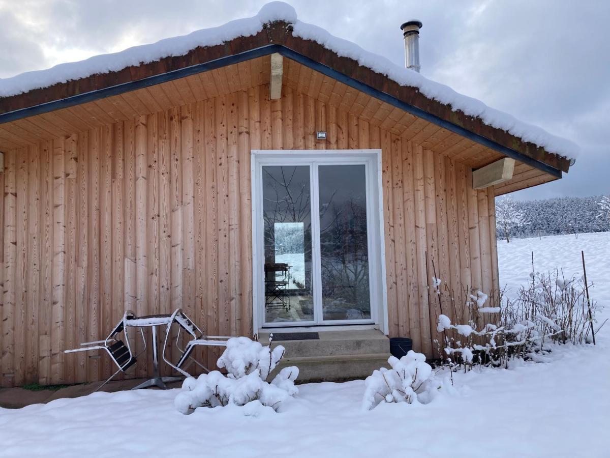 Le Chalet Dans La Nature Saulcy-sur-Meurthe Εξωτερικό φωτογραφία